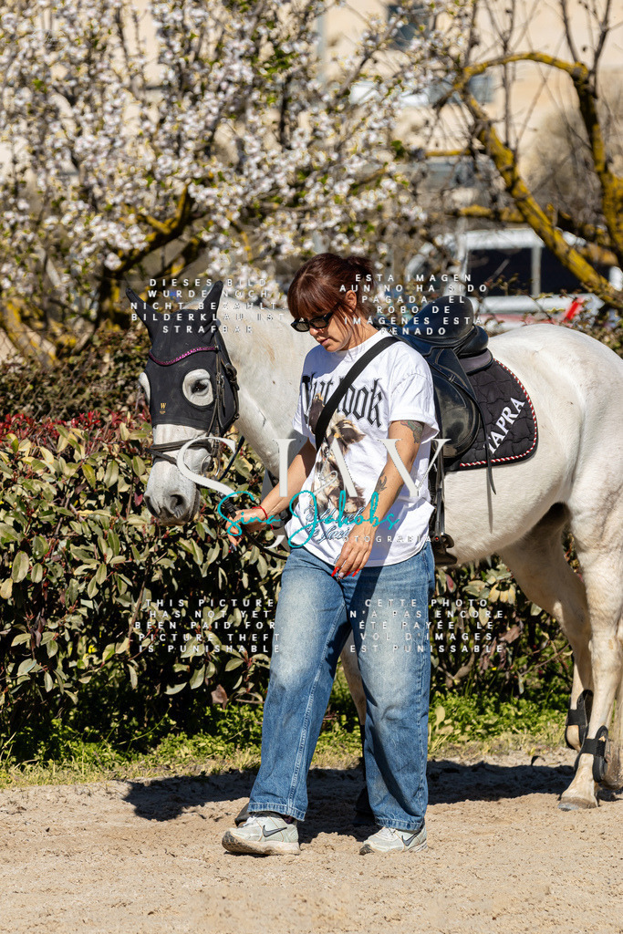 IMG_8908 | s-jay-photography - Realisiert mit Pictrs.com