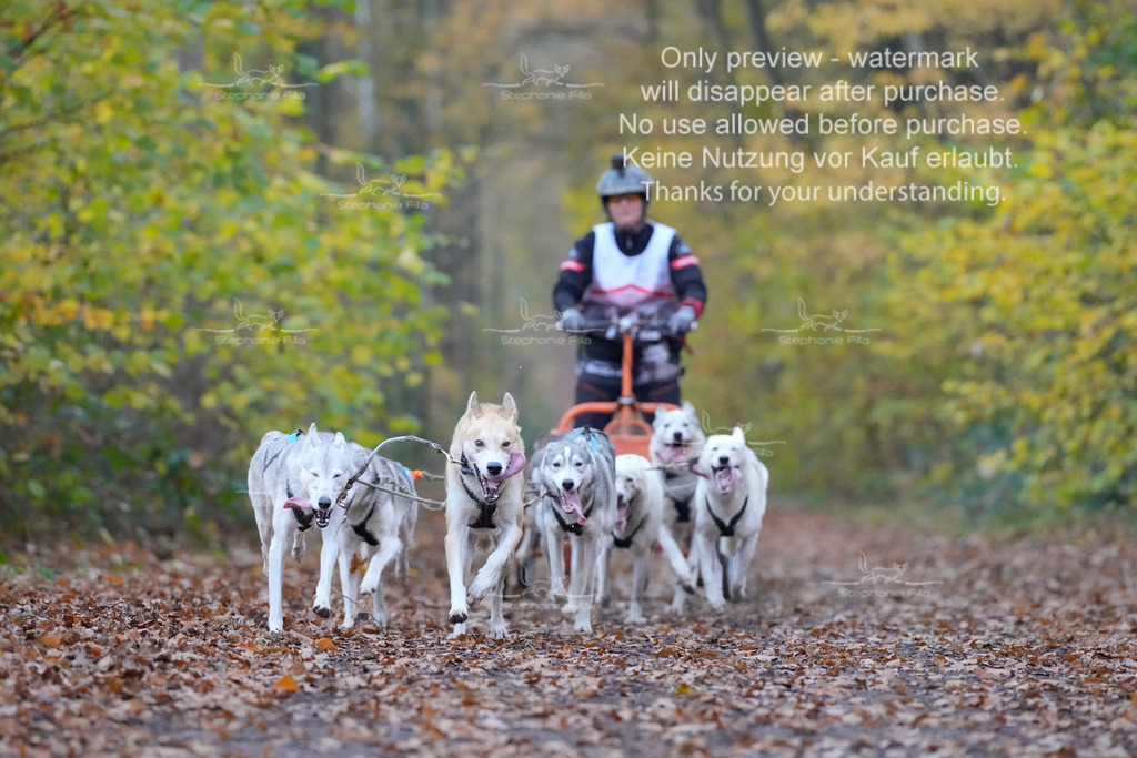 Rigs4bis8So-136 | stephaniefillaphotographie - Realisiert mit Pictrs.com