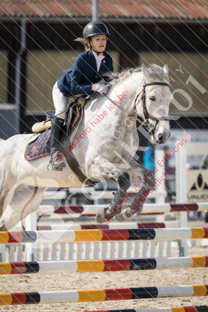 IMG_4474 | Sport-, Event- und Tierfotos in Profiqualität. Einfach auswählen, bestellen und herunterladen. Dein Moment – perfekt festgehalten.