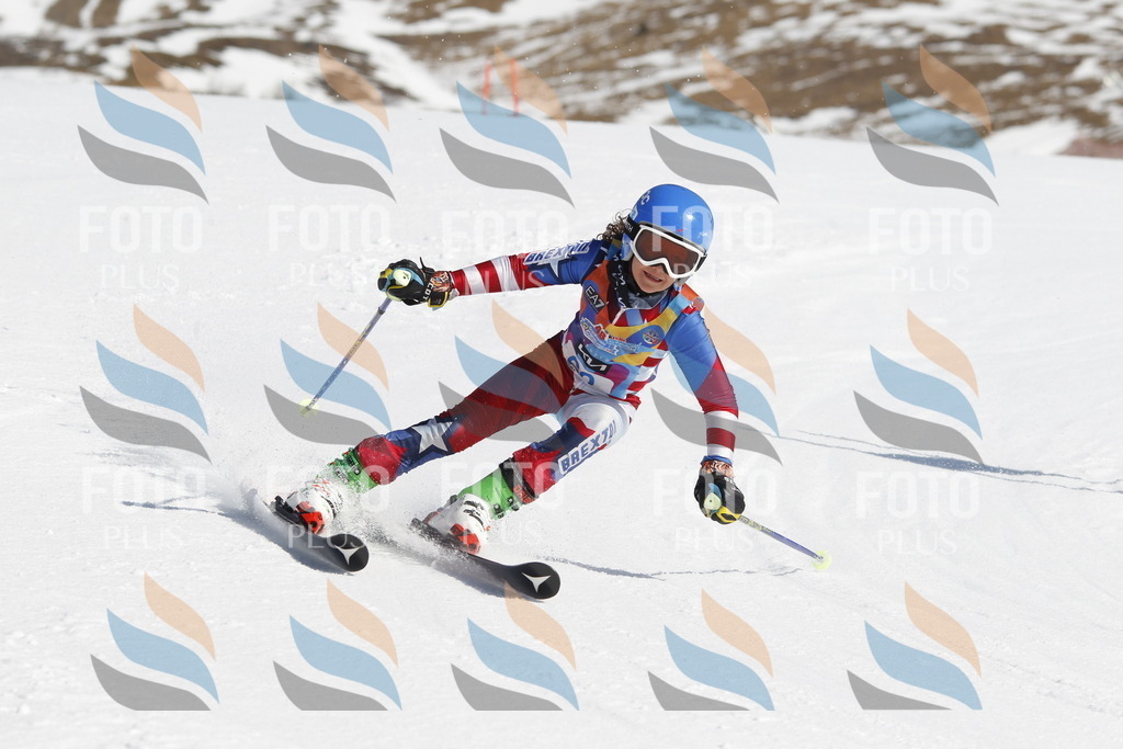 _U3G9613 | holidayphoto