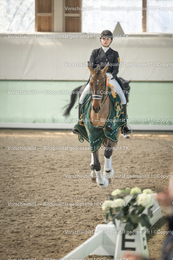 _D5A2527 | Emotionale Pferde- & People-Fotografie rund um Heidelberg, Leimen & Umgebung. Natürliche Fotos von Pferd, Mensch & Familie. Jetzt Termin sichern!