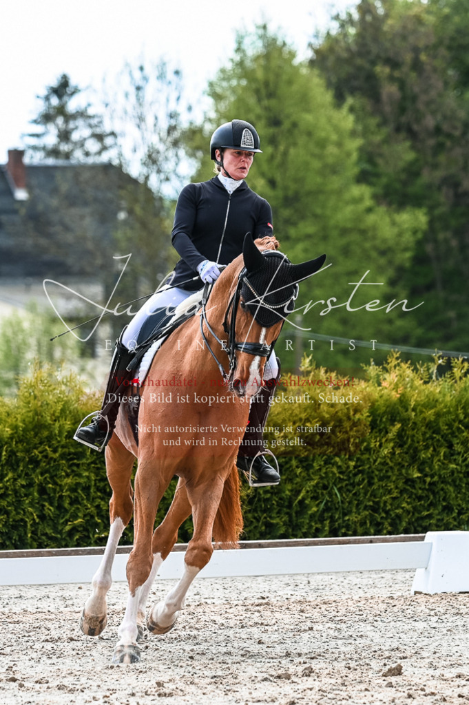 20230513_JK-Röhrsdorf-10-0743 | Pferde- und Turnierfotografie in Westsachsen. Pferdeportraits, Auftragszeichnungen und intuitive Kunst.
