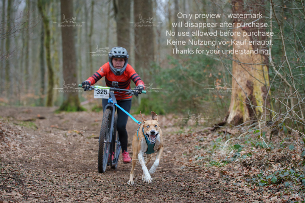 Scooter_So-55 | stephaniefillaphotographie - Realisiert mit Pictrs.com