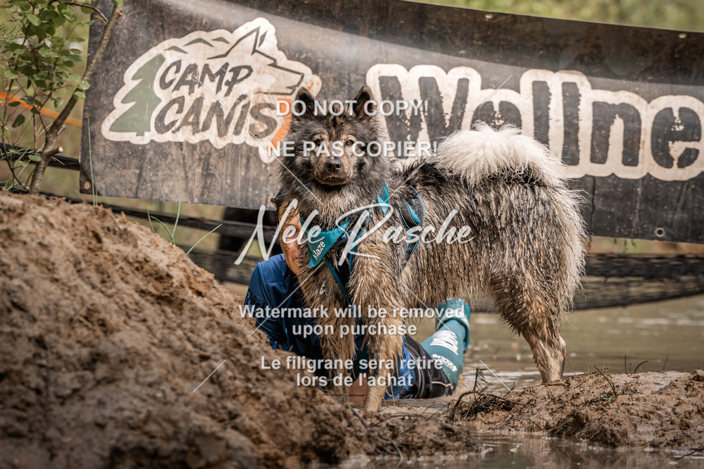 nelerasche_Hoope2026_Sa1030-1100_105 | nelerasche