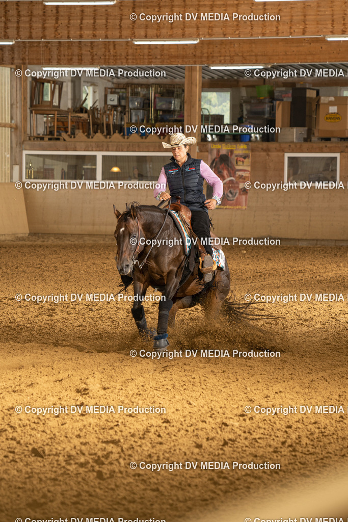 LAU00667 | dv-media-shop - Realisiert mit Pictrs.com