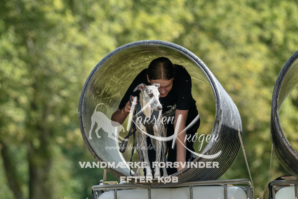 1121_ZZ93946 | kk-dogfotos