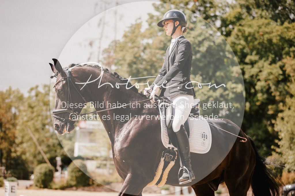 3I6A6089 | Stimmungsvolle Portraits und Reitsportfotografie im Ruhrgebiet und im Münsterland.

Pferdefotografie, Hundefotografie, Tierfotografie, Reportagen, Portraits von Tier und Mensch, Turnierfotografie in Bochum, Recklinghausen, Marl, Haltern am See, Dülmen.. - Realisiert mit Pictrs.com