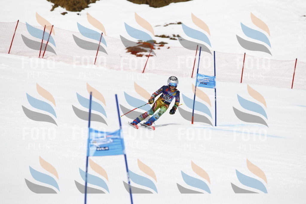 _U3G7398 | holidayphoto