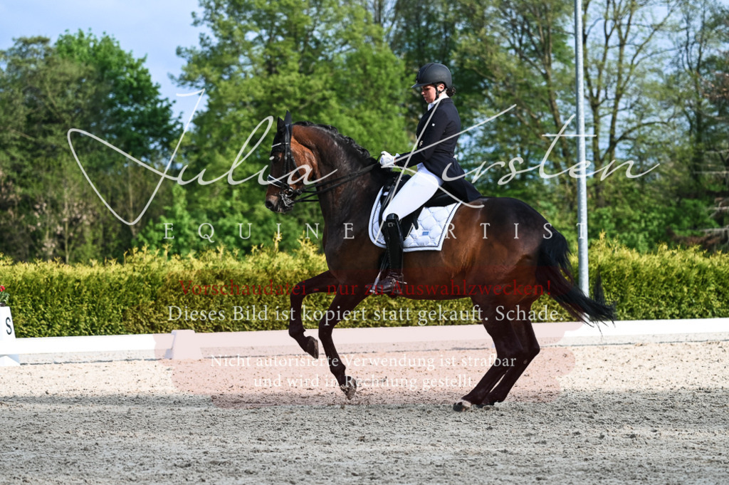 20230513_JK-Röhrsdorf-13-032 | Pferde- und Turnierfotografie in Westsachsen. Pferdeportraits, Auftragszeichnungen und intuitive Kunst.