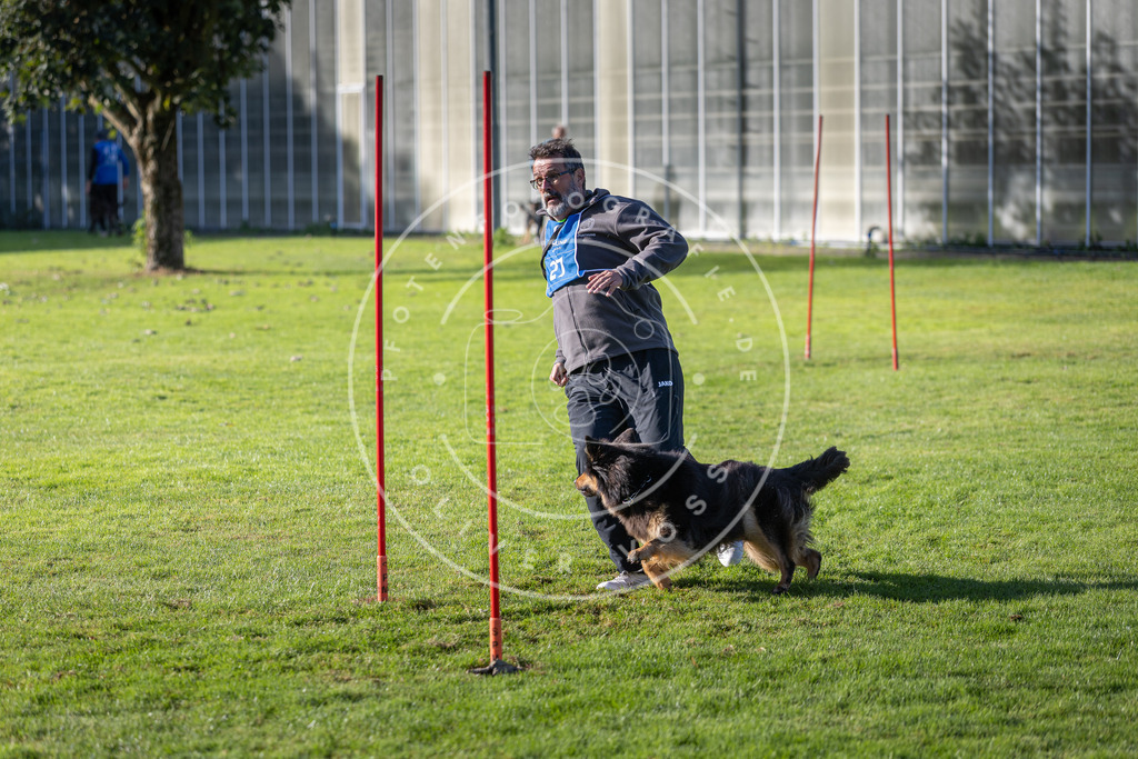 Pfotenfotografie.de_DV3A3278 | Hundefotografie, Tierfotograf, Pfotenfotografie, Fotoshooting Hund, Hunde Portrait, Hundesport, Hundeportraits, Heideshooting, Hunde, Sportfotograf, Hundefotograf, Turnierhundsport, THS, canicross - Realisiert mit Pictrs.com