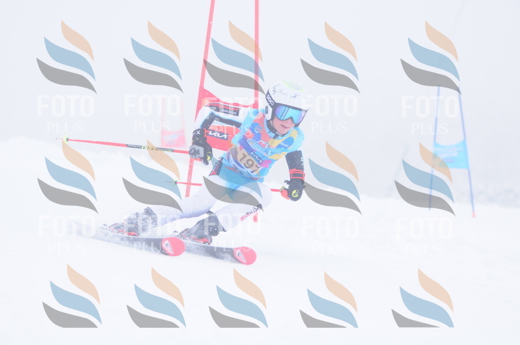 C2183 | holidayphoto