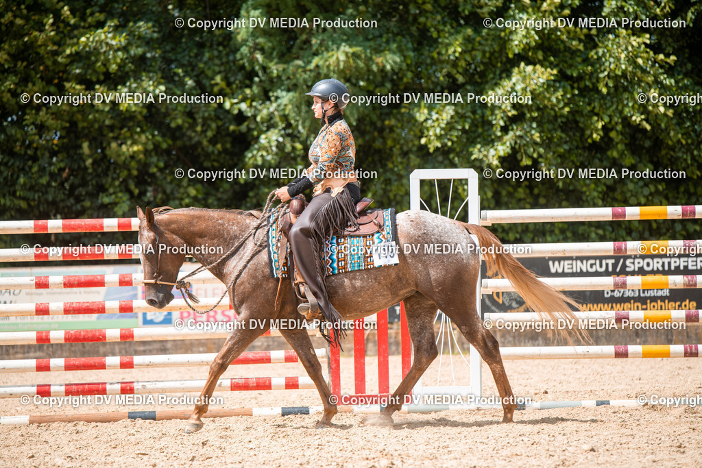 EWP_6690 | dv-media-shop - Realisiert mit Pictrs.com