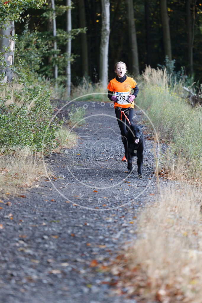 0L8A2049 | Hundefotografie, Tierfotograf, Pfotenfotografie, Fotoshooting Hund, Hunde Portrait, Hundesport, Hundeportraits, Heideshooting, Hunde, Sportfotograf, Hundefotograf, Turnierhundsport, THS,  - Realisiert mit Pictrs.com