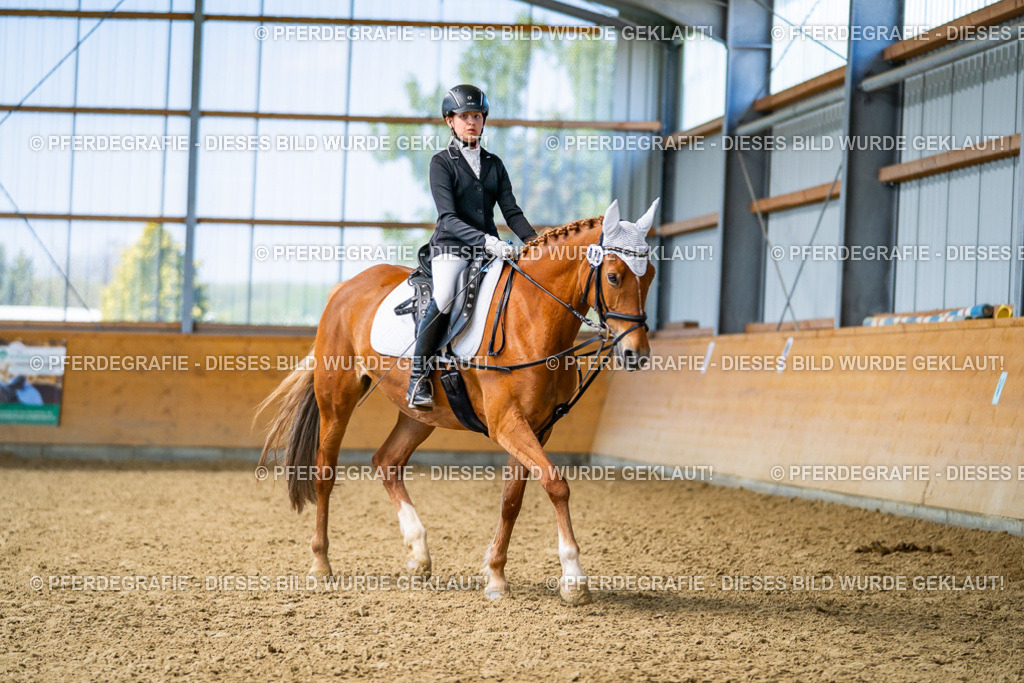 DSC03031 | Pferdegrafie