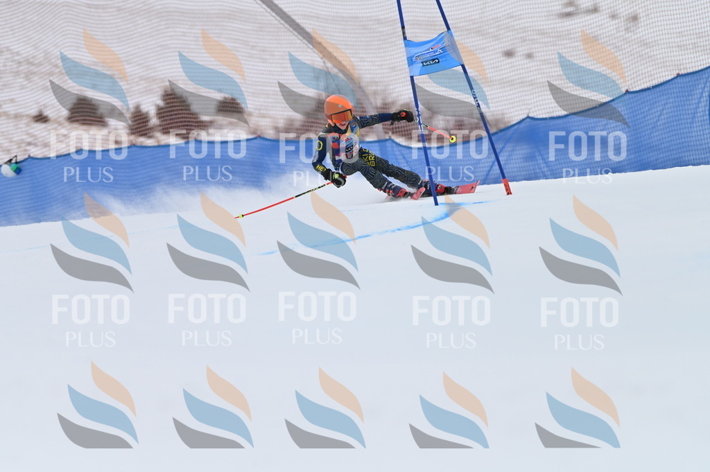 BGV_0732 | holidayphoto