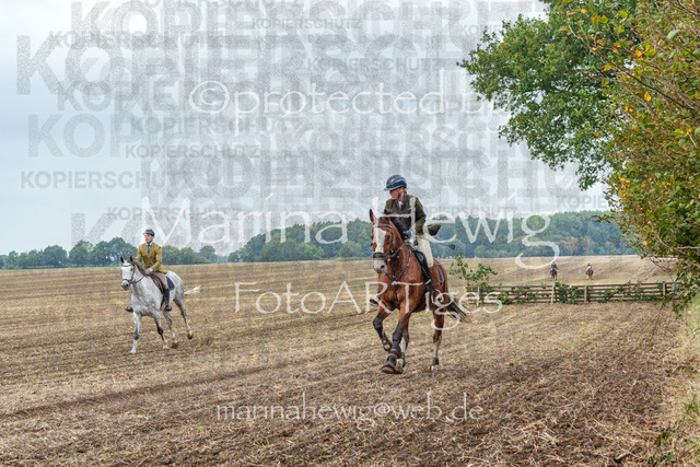 Jagd Perdoel_MarinaHewigMCH04047 | Fotografie, FotoArt, PferdesportArt, Pferdesportfotografie, Landschaftsfotografie, Reisefotografie, Reise, Pferde - Realisiert mit Pictrs.com