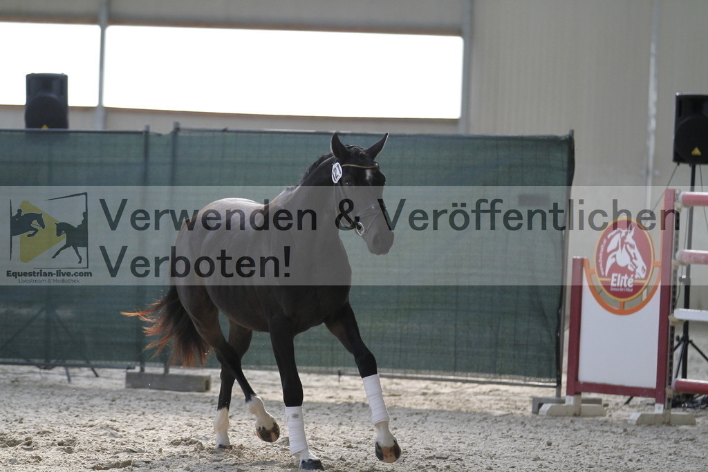 _MG_9497 | equestrian-live-com