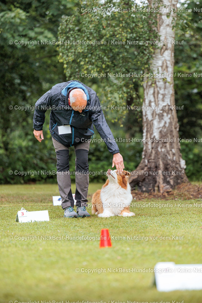 RO-Blumenthal-2026-Nickbest-Hundefotografie-0645 | Dein Hund! Dein Moment! Deine Erinnerungen! Hundefotografie in Bremen Blumenthal. Ich fange die besonderen Momente deines Vierbeiners ein – ob Indoor mit Blitzanlage oder in der freien Natur. Sicher dir dein Moment und dein Termin für eure Erinnerungen.