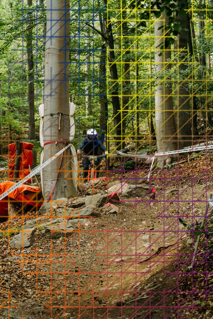 PAE-2138 | Einzigartige Fotokunst für dein Zuhause: Entdecke hochwertige Wandbilder, edle Prints und emotionale Motive von Wildlife, Natur und Landschaften - Realisiert mit Pictrs.com