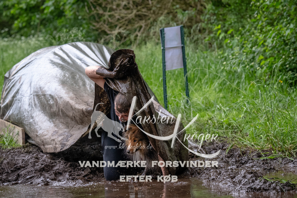 1640_ZZ94741-Bearbeitet | kk-dogfotos