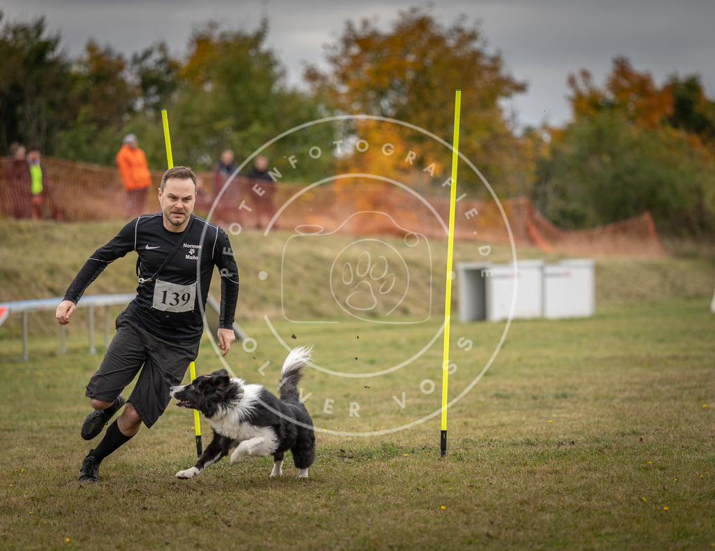 Pfotenfotografie_DV3A8300 | Hundefotografie, Tierfotograf, Pfotenfotografie, Fotoshooting Hund, Hunde Portrait, Hundesport, Hundeportraits, Heideshooting, Hunde, Sportfotograf, Hundefotograf, Turnierhundsport, THS,  - Realisiert mit Pictrs.com