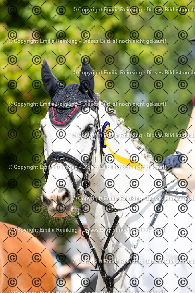 CL5A8691 | Emilia Reinking Fotografie - Realisiert mit Pictrs.com