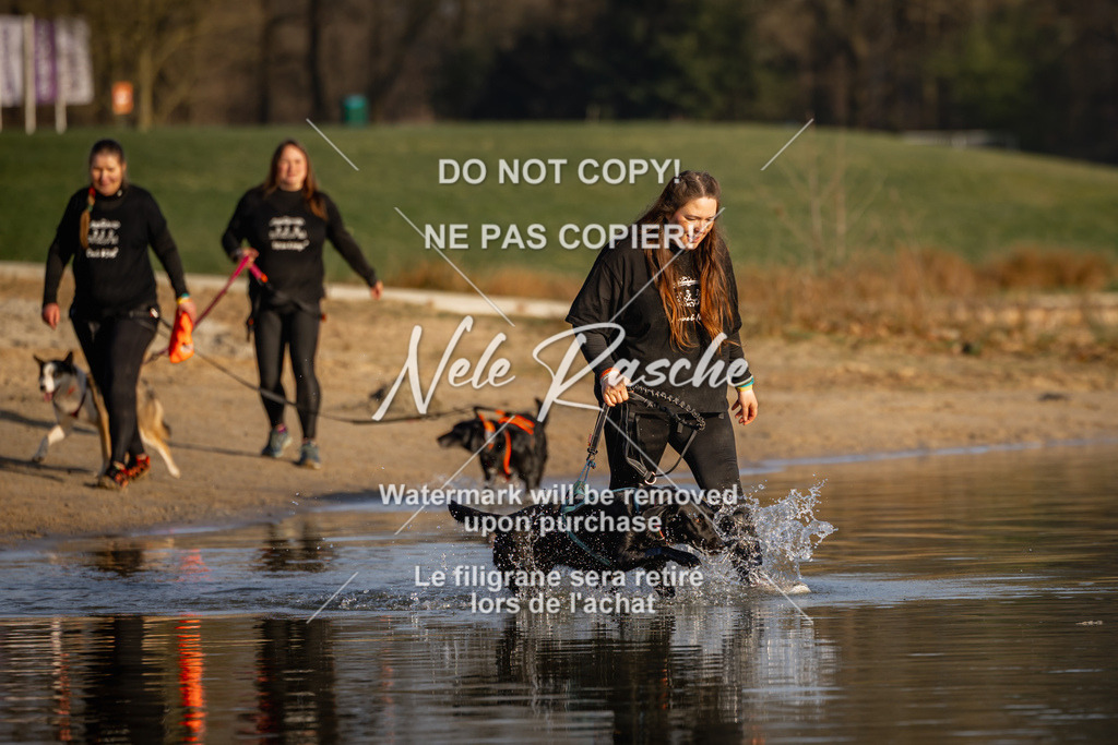 nelerasche_Hulsbeek_Sa1700-1730_67 | nelerasche