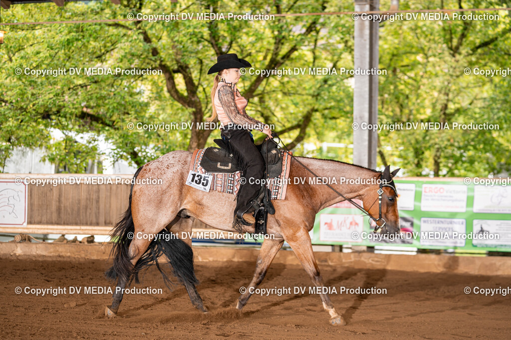 Erbach Tag 1-078 | dv-media-shop - Realisiert mit Pictrs.com