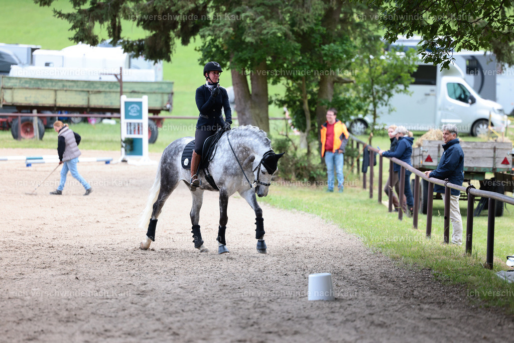 Masterclass_stoibphotography_C2_L6985.JPG | working equitationturnier fotograf videograf stoibphotography marixx film working equitation deutschland reitsport turnierfotografie eventfotografie equestrian events