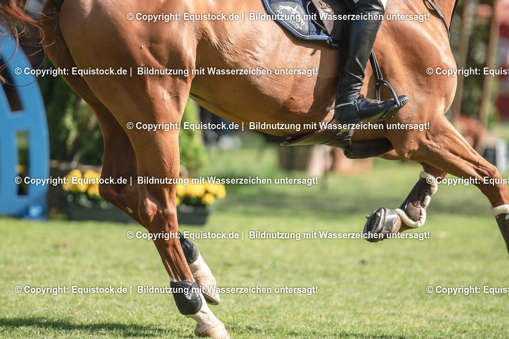 20230527_14_CSI4_Lotto-Hessen-Preis_0082 | equistock