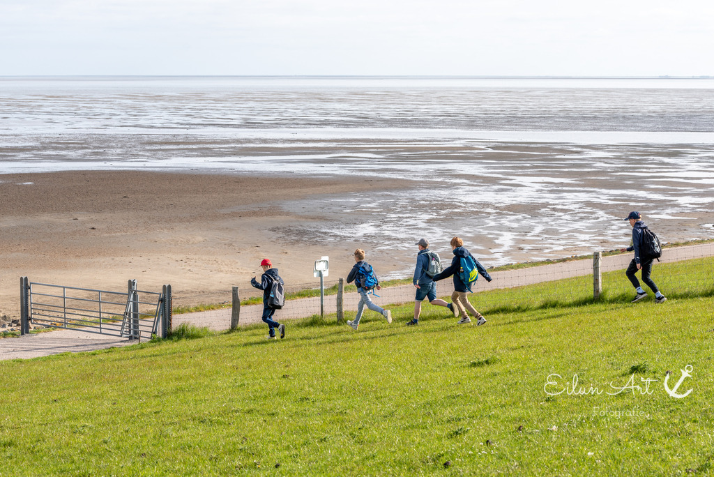 EAF_1025 | Eilun-Art-Fotografie Levke Martens, ihre Fotografin für Immobilien- und Landschaftsfotografie auf Föhr, Föhrer Motive als Poster, Leinwand, hinter Acrylglas oder stelle dir deinen eigenen Monatskalender zusammen, mit nur einem Klick