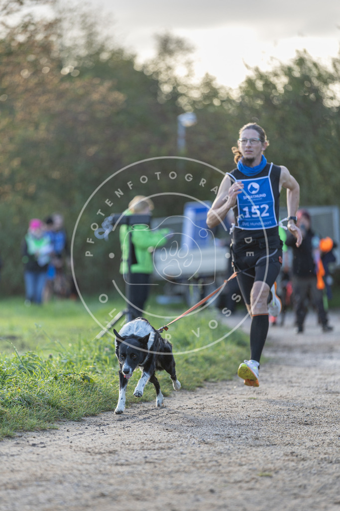 Pfotenfotografie.de_DV3A2733 | Hundefotografie, Tierfotograf, Pfotenfotografie, Fotoshooting Hund, Hunde Portrait, Hundesport, Hundeportraits, Heideshooting, Hunde, Sportfotograf, Hundefotograf, Turnierhundsport, THS, canicross - Realisiert mit Pictrs.com