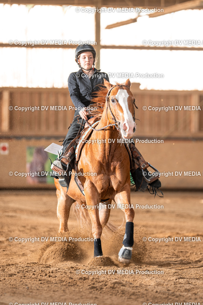 Balingen Tag 2-1522 | dv-media-shop - Realisiert mit Pictrs.com