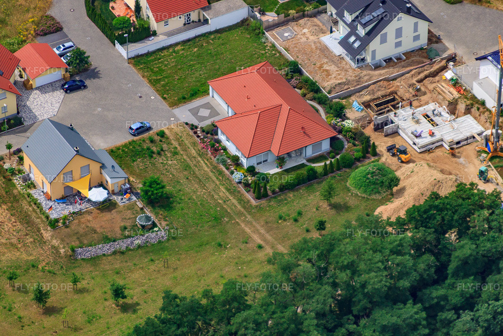 Luftbild: Weißdornweg im Ortsteil Hardtwald in Neupotz im Bundesland Rheinland-Pfalz in Deutschland. Foto: IMG_29761.jpg vom 02.07.2010 durch Werner Riehm/FLY-FOTO.de