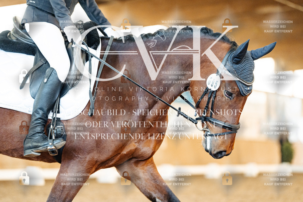 CK907591 | Turnierfotografie Pferdefotografie Trier Rheinland-Pfalz Pferdesport Reitsport Tierfotografie Sportfotografie Pferdevideo Pferdevideografie Equestrianvideography equestrianphotography  - Realisiert mit Pictrs.com