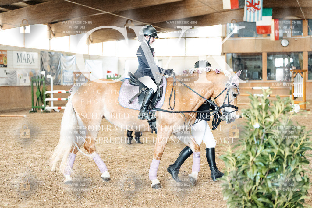 CK906117 | Turnierfotografie Pferdefotografie Trier Rheinland-Pfalz Pferdesport Reitsport Tierfotografie Sportfotografie Pferdevideo Pferdevideografie Equestrianvideography equestrianphotography  - Realisiert mit Pictrs.com