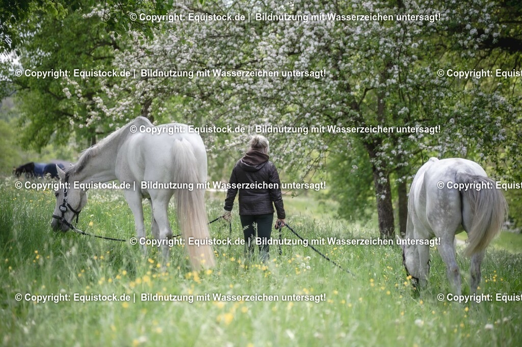 20250516_Impressionen_0068 | Foto: Thomas Hartig