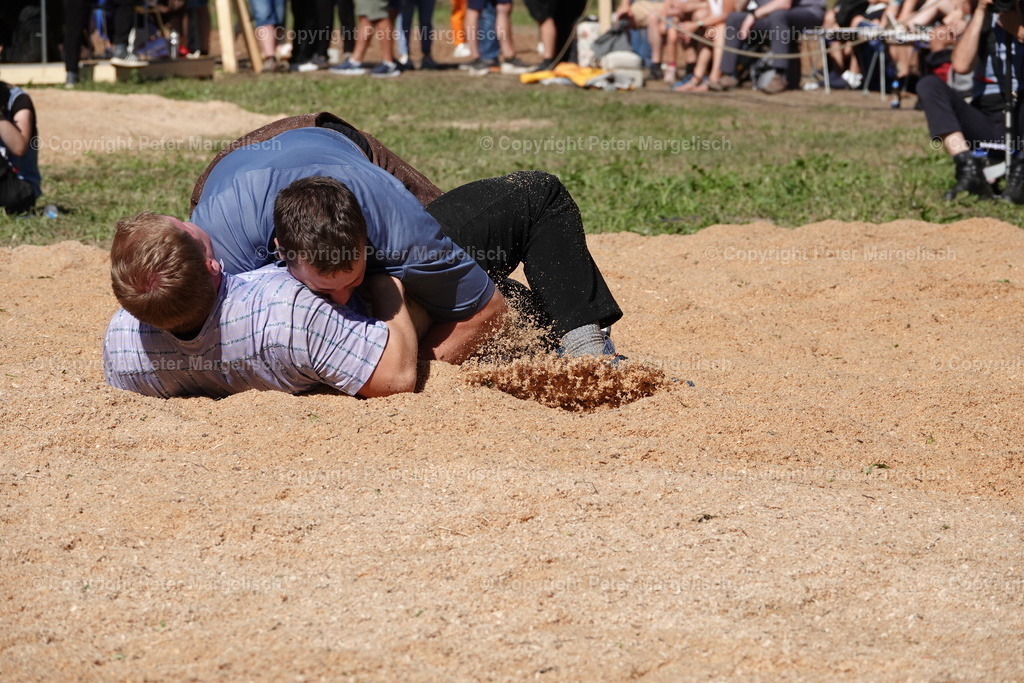 DSC01723 | Schwingen - Realisiert mit Pictrs.com