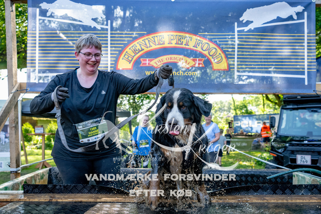 1549_ZZ90157 | kk-dogfotos