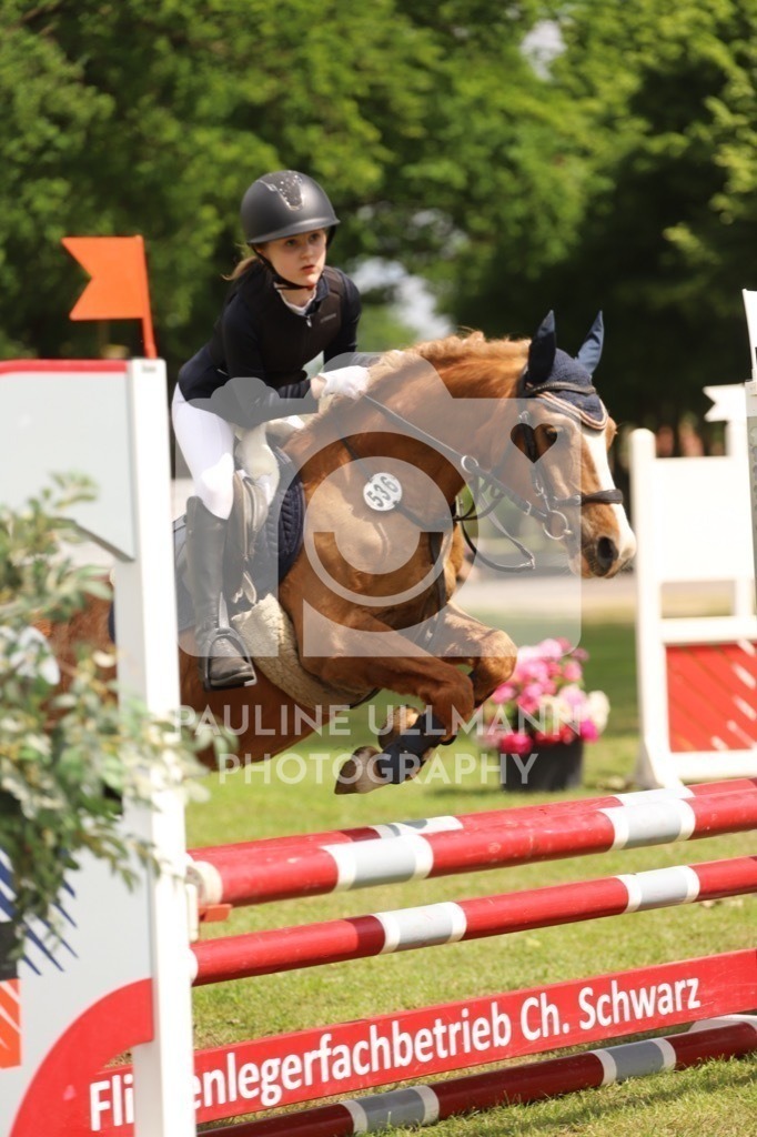 IMG_7487 | Pauline Ullmann Photography - Realisiert mit Pictrs.com