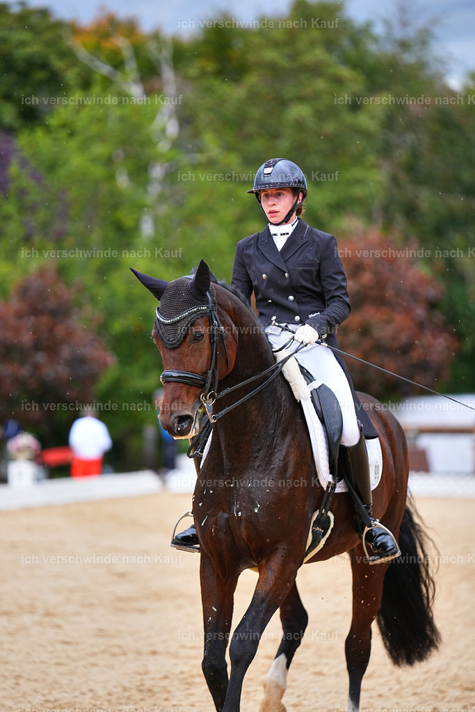 8_1-099-Klasse S_  -Marixx-4184 | working equitationturnier fotograf videograf stoibphotography marixx film working equitation deutschland reitsport turnierfotografie eventfotografie equestrian events