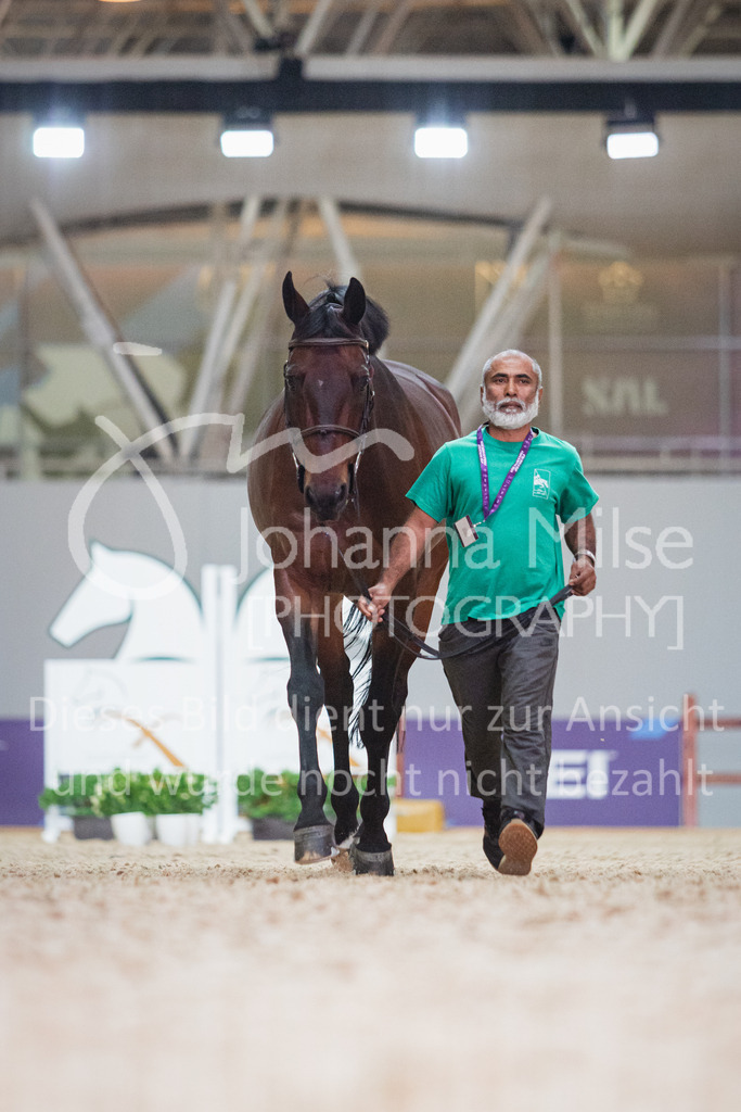 230215_Riyadh_Vet-Check-111 | Deine schönsten Turniermomente als professionelle Fotos! Entdecke hochwertige Pferdesport-Fotografie im Online-Shop. Jetzt Fotos finden & bestellen!