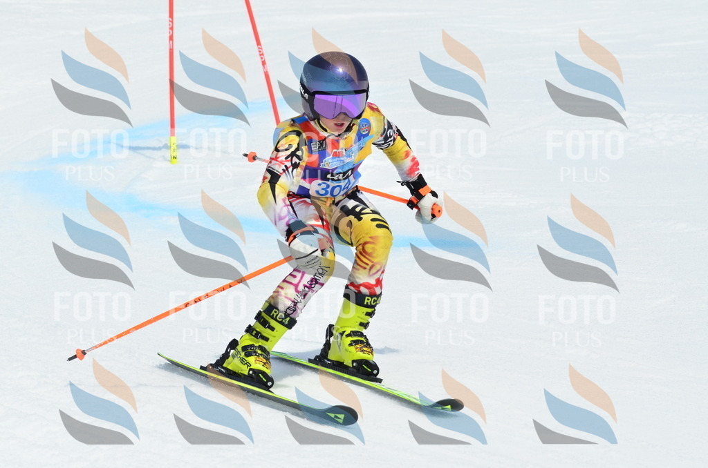 _ELE2248 | holidayphoto