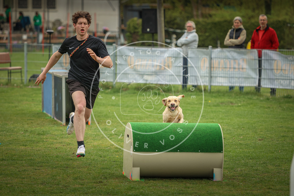 Pfotenfotografie_0L8A1401 | Hundefotografie, Tierfotograf, Pfotenfotografie, Fotoshooting Hund, Hunde Portrait, Hundesport, Hundeportraits, Heideshooting, Hunde, Sportfotograf, Hundefotograf, Turnierhundsport, THS,  - Realisiert mit Pictrs.com
