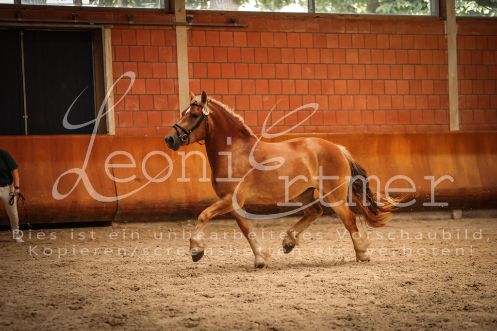 SaFL00169 | Leoni Ertmer Photography - Realisiert mit Pictrs.com