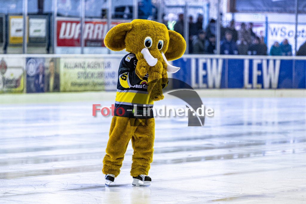 C1DX2156 | Shop für Sportfotografie, Bilddatenbank, Pressefotografie, Fußball, Eishockey, Aktionsfotos