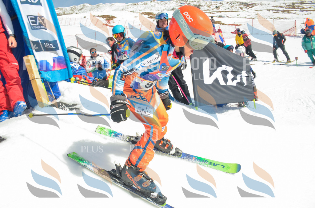 _ELE5676 | holidayphoto