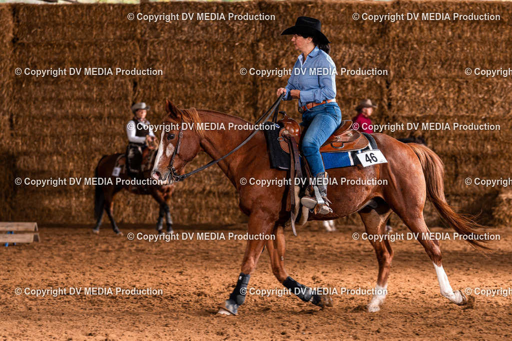 Balingen Tag 1-903 | dv-media-shop - Realisiert mit Pictrs.com