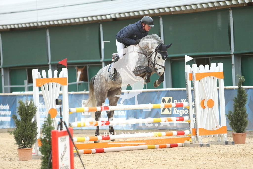 DL2Q6346 | Willkommen bei Brunnmayr - Design & Fotografie – Ihrem Spezialisten für Reitturniere und Pferdeveranstaltungen in Oberösterreich, Salzburg und Bayern! Seit über 17 Jahren sind wir leidenschaftlich dabei.