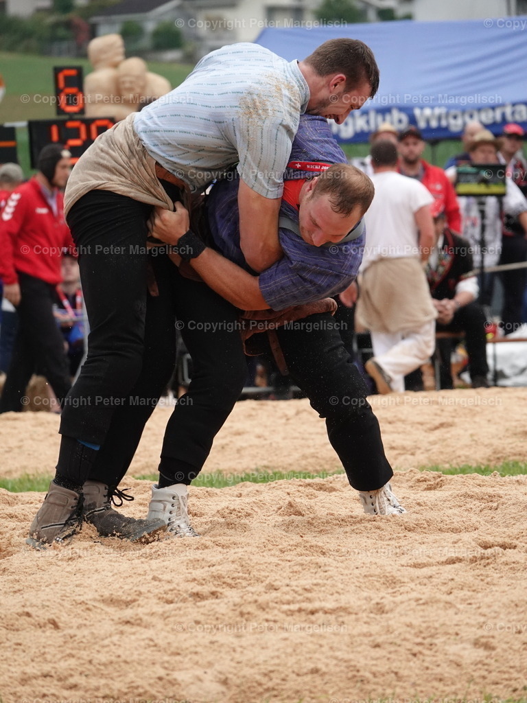 DSC04846 | Schwingen - Realisiert mit Pictrs.com
